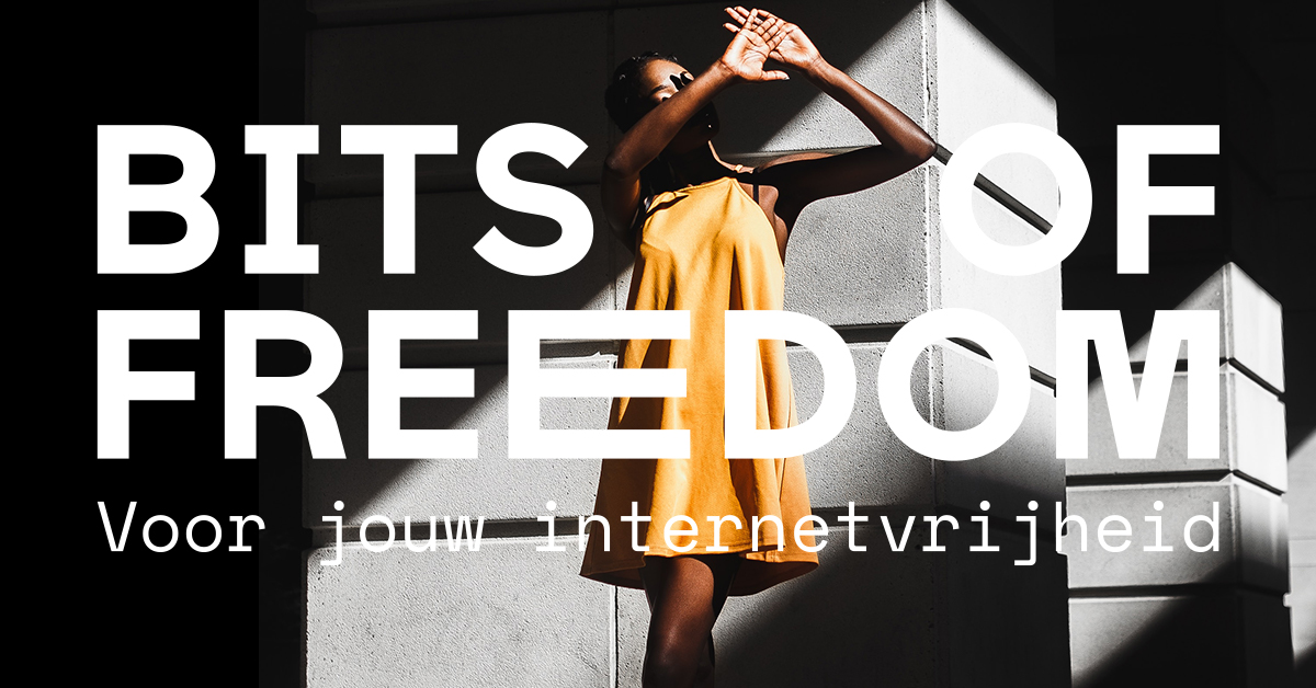 Banner Bits of Freedom